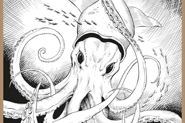 Kraken 13at