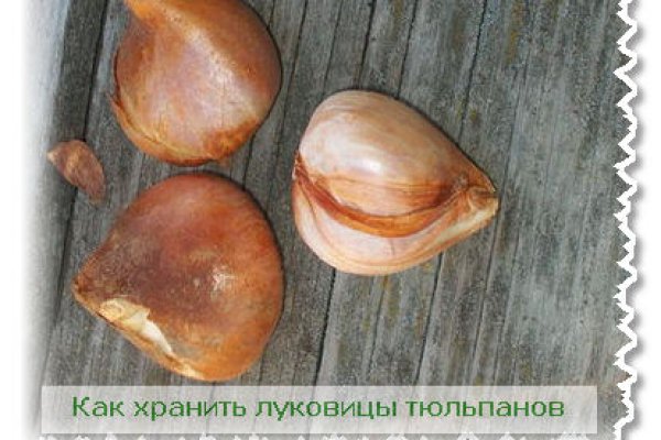 Кракен ссылка настоящая