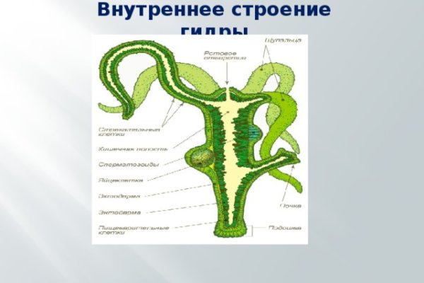 Кракен верное зеркало