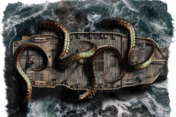 Kraken 20at net