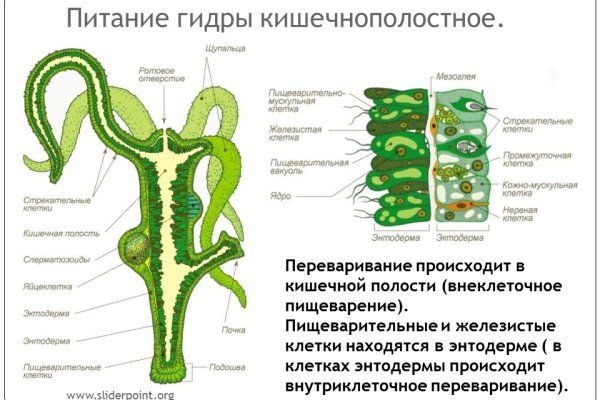 Кракен это даркнет маркетплейс