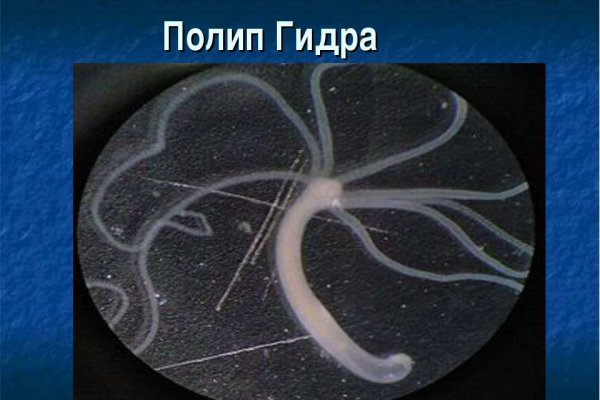 Кракен сайт store