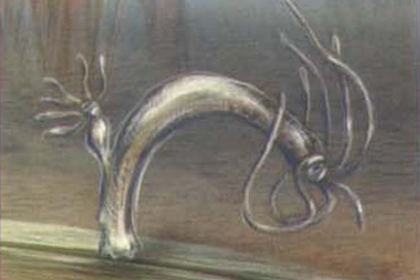 Kra44cc